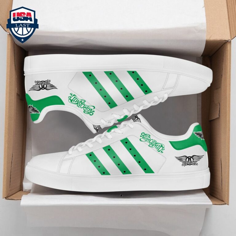 Aerosmith Green Stripes Stan Smith Low Top Shoes - Unique and sober