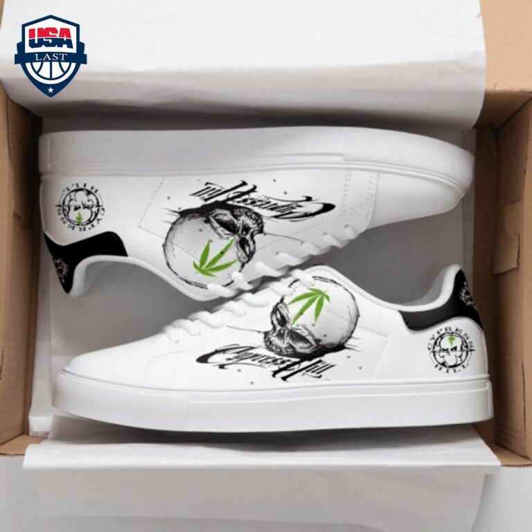 Cypress Hill Stan Smith Low Top Shoes - You look so healthy and fit